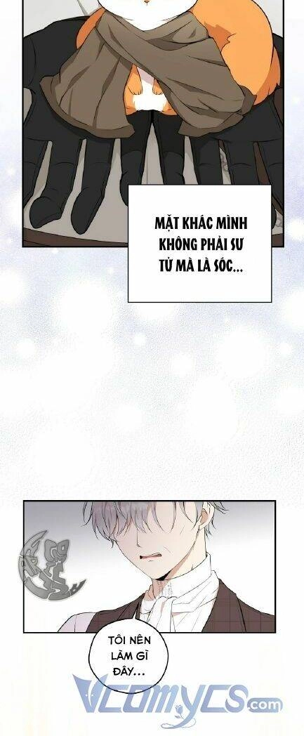 Sóc Con Tài Năng Chapter 3 - 45