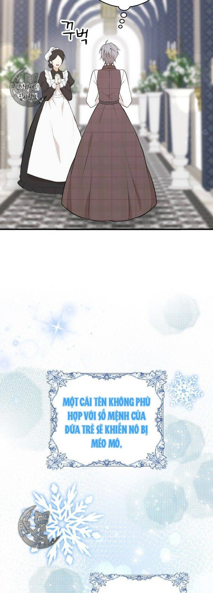 Sóc Con Tài Năng Chapter 5 - 23