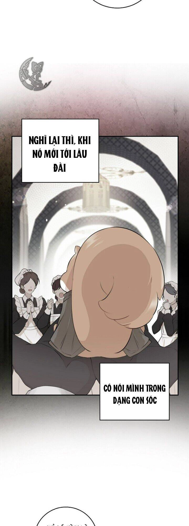 Sóc Con Tài Năng Chapter 5 - 35