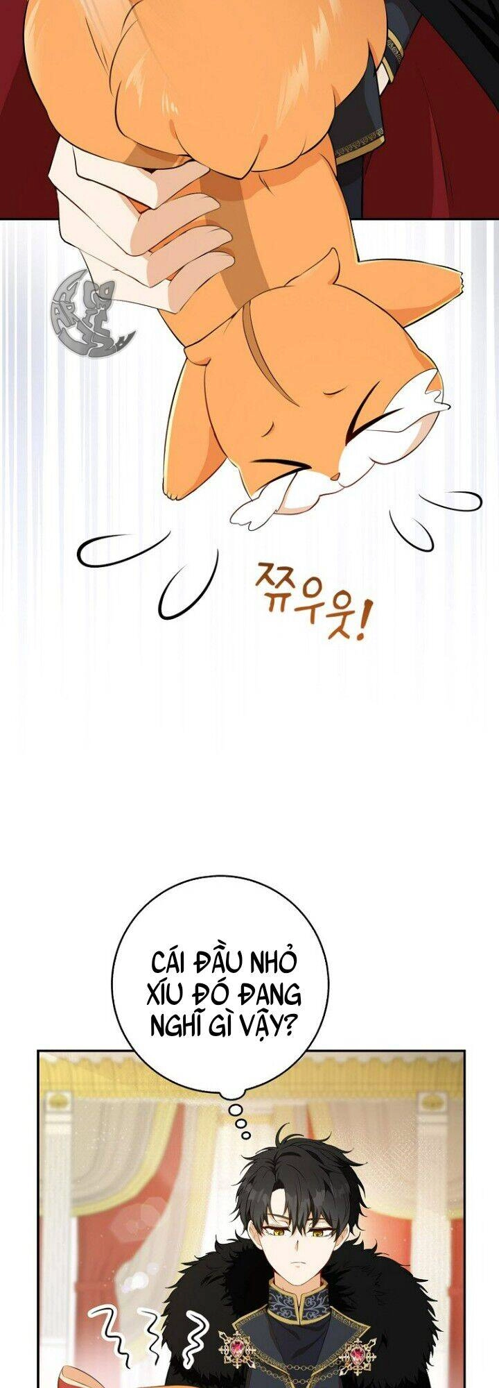 Sóc Con Tài Năng Chapter 5 - 43