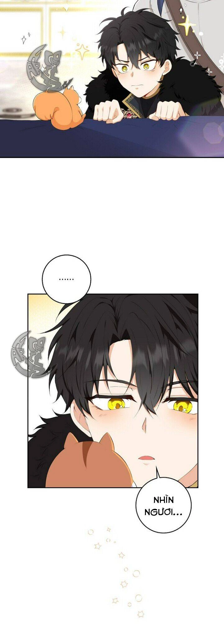 Sóc Con Tài Năng Chapter 5 - 59