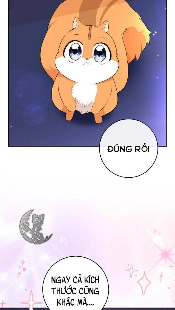 Sóc Con Tài Năng Chapter 5 - 63