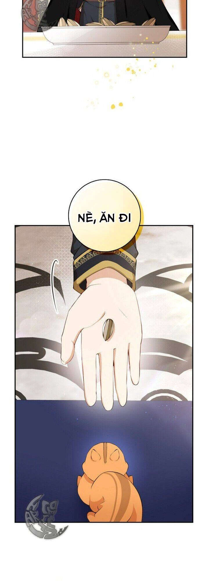 Sóc Con Tài Năng Chapter 5 - 66