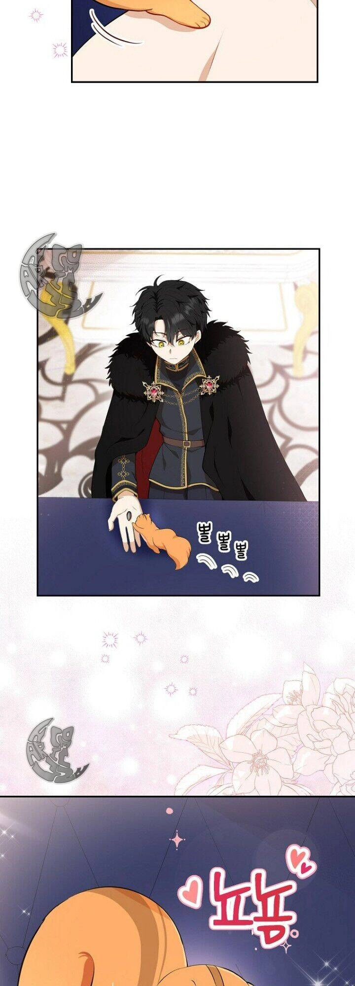 Sóc Con Tài Năng Chapter 5 - 68