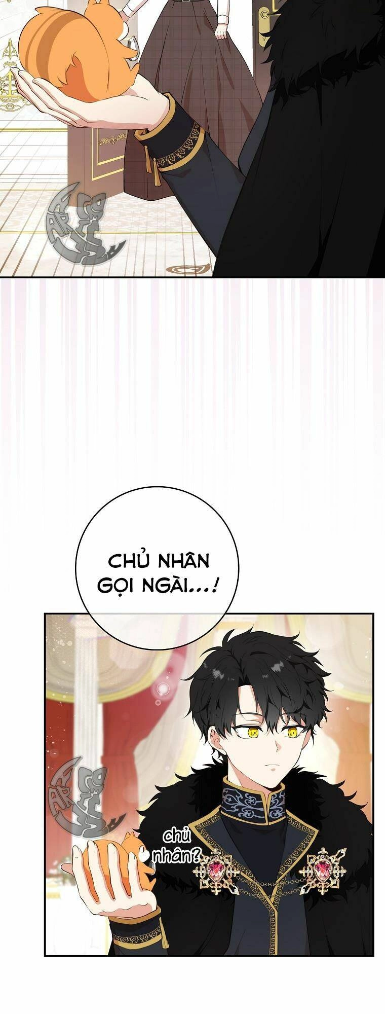 Sóc Con Tài Năng Chapter 6 - 5