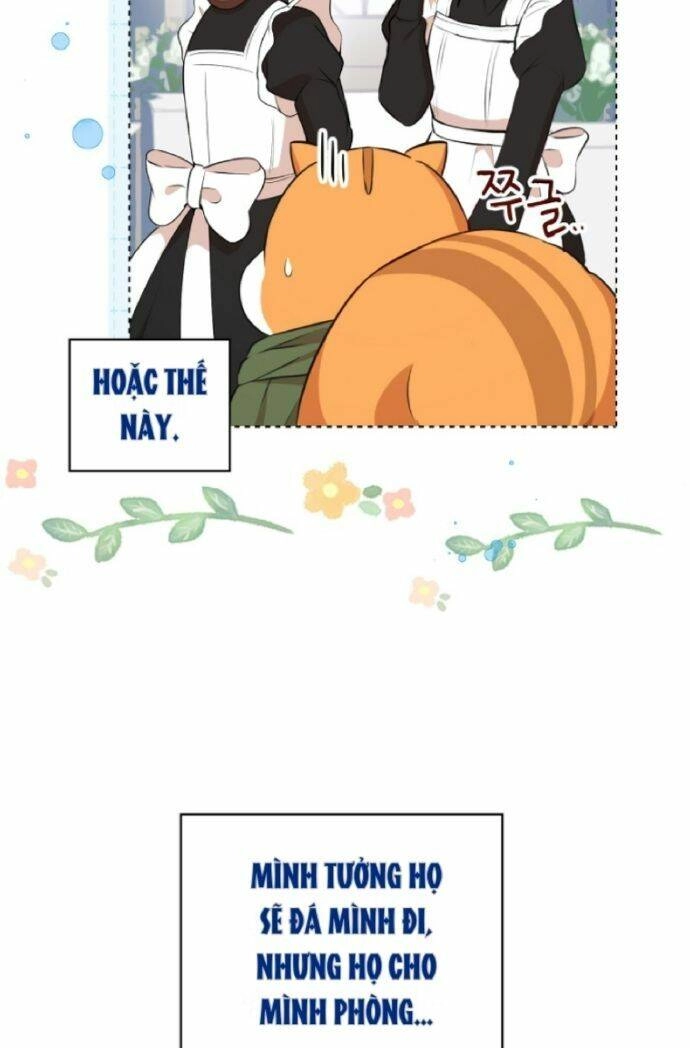 Sóc Con Tài Năng Chapter 10 - 24