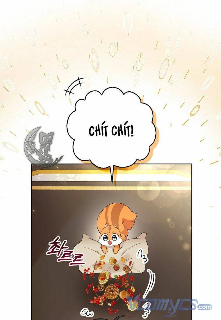 Sóc Con Tài Năng Chapter 12 - 81