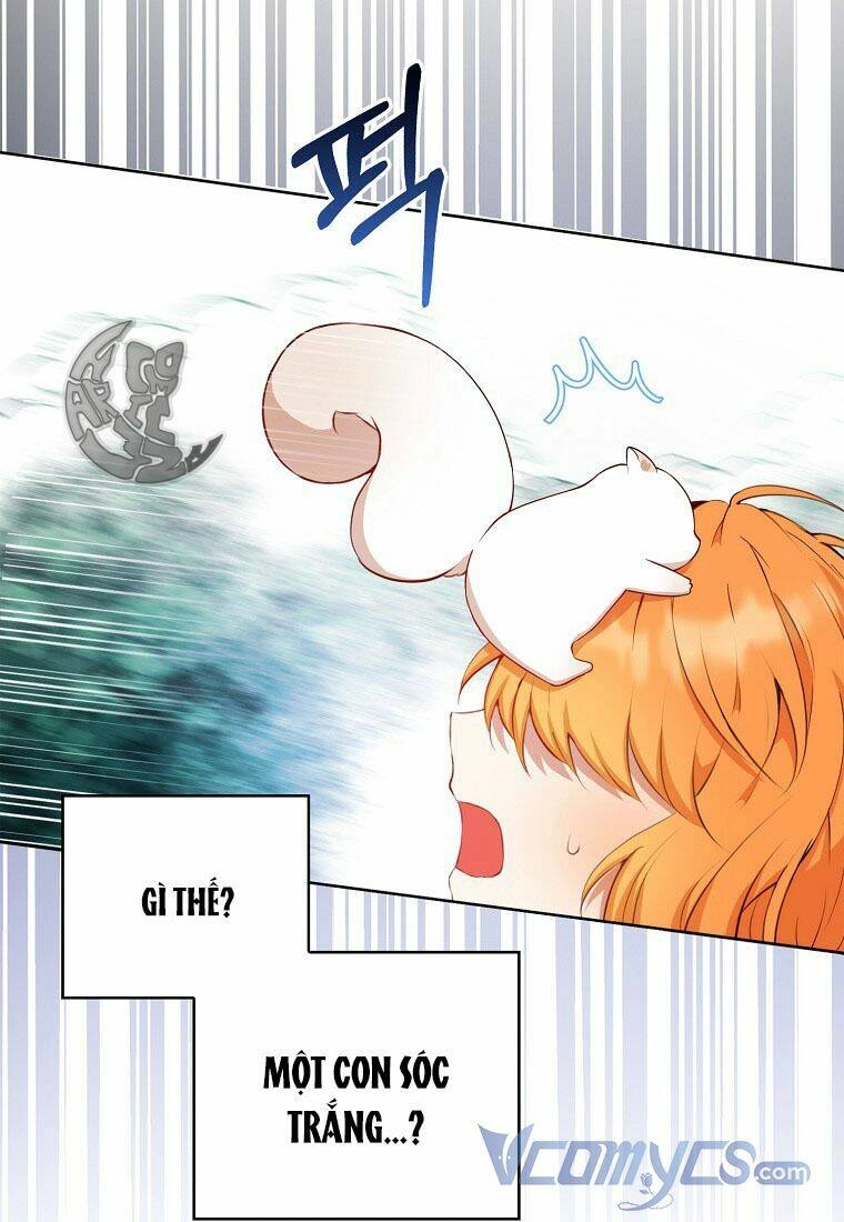 Sóc Con Tài Năng Chapter 12 - 111