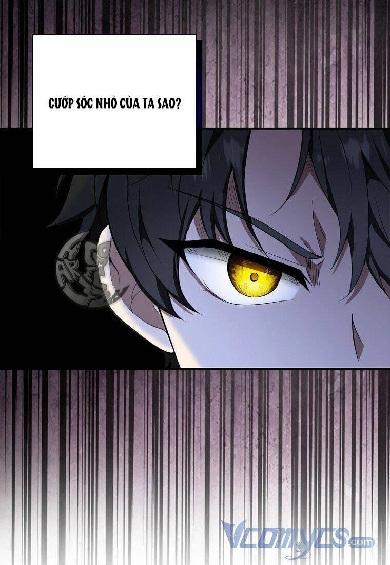 Sóc Con Tài Năng Chapter 13 - 44