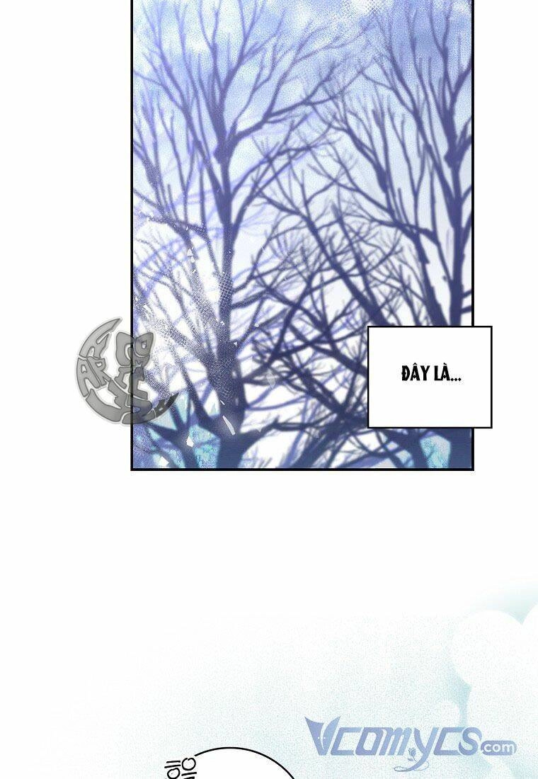 Sóc Con Tài Năng Chapter 13 - 49