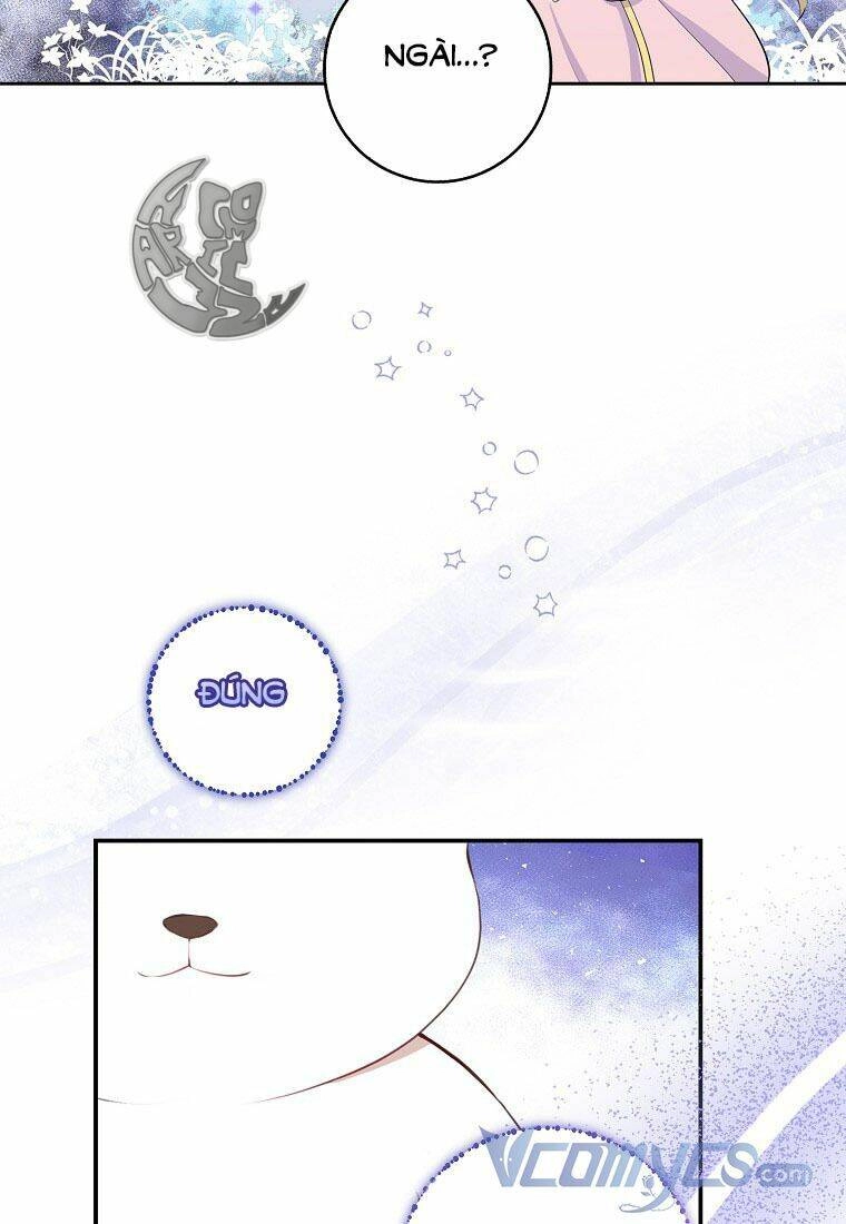 Sóc Con Tài Năng Chapter 13 - 59