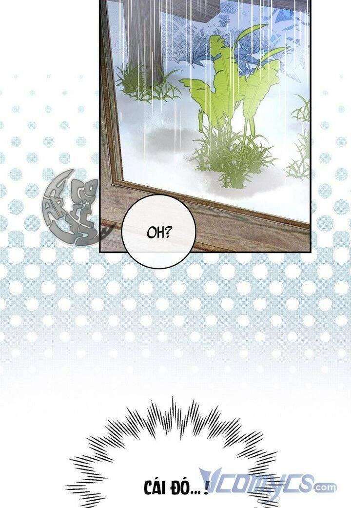 Sóc Con Tài Năng Chapter 15 - 65