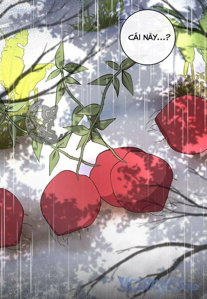 Sóc Con Tài Năng Chapter 15 - 77