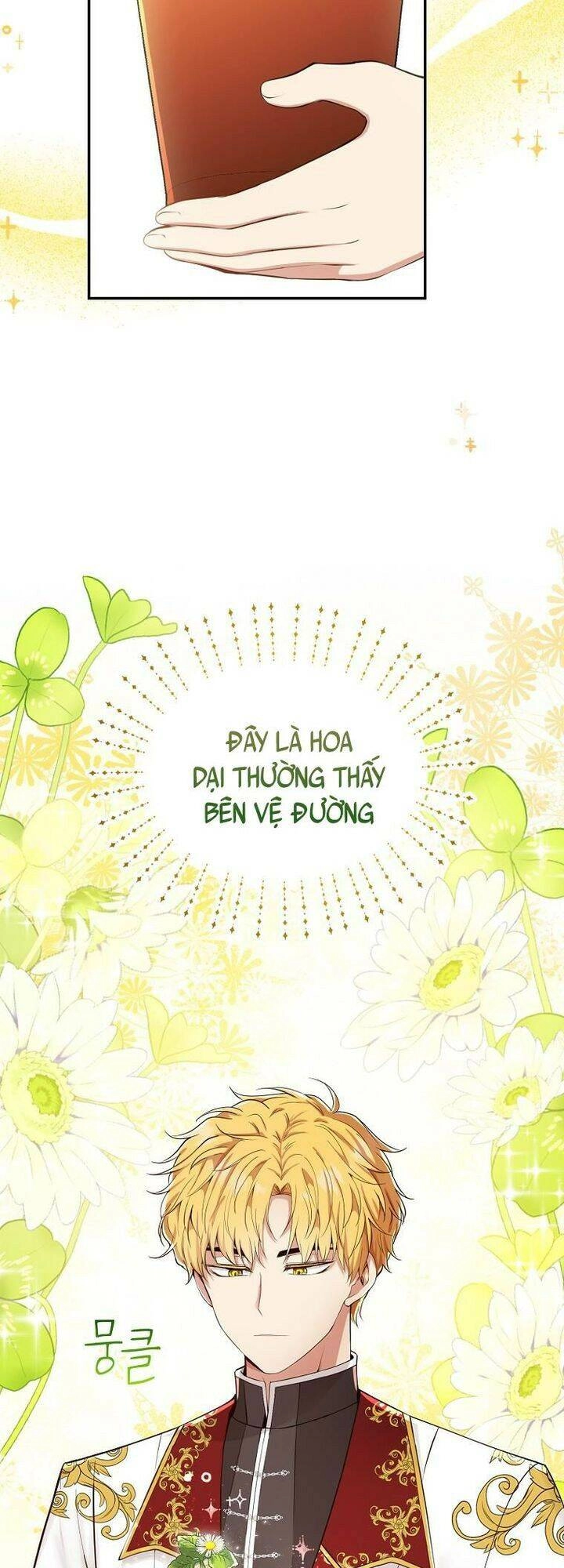 Sóc Con Tài Năng Chapter 19 - 16