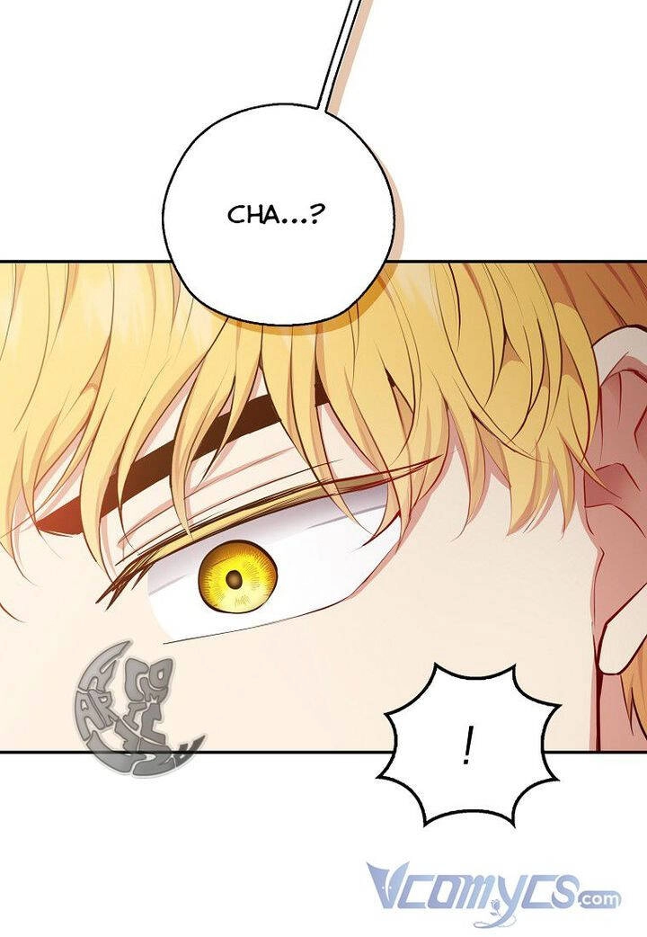 Sóc Con Tài Năng Chapter 21 - 107