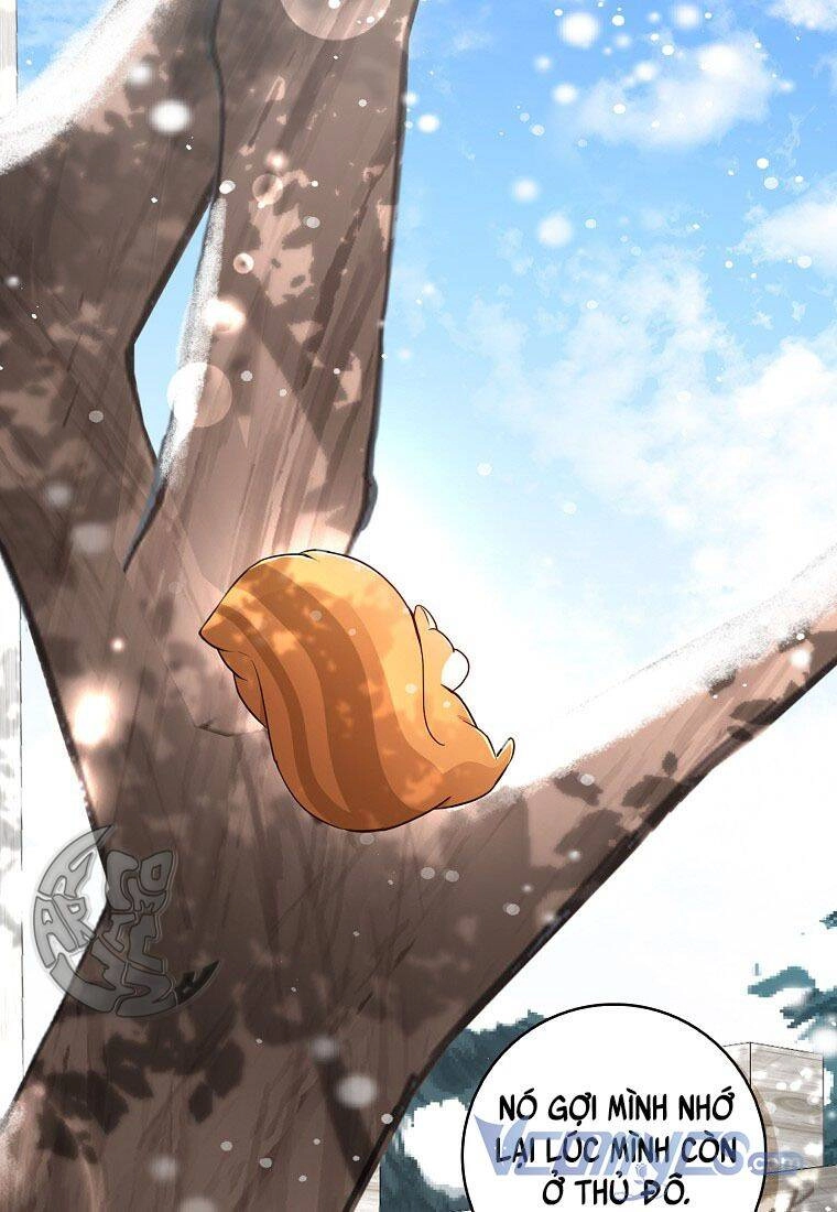 Sóc Con Tài Năng Chapter 22 - 68