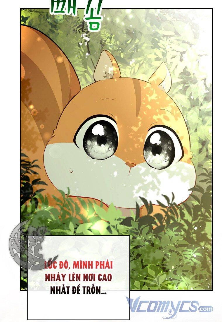 Sóc Con Tài Năng Chapter 22 - 71