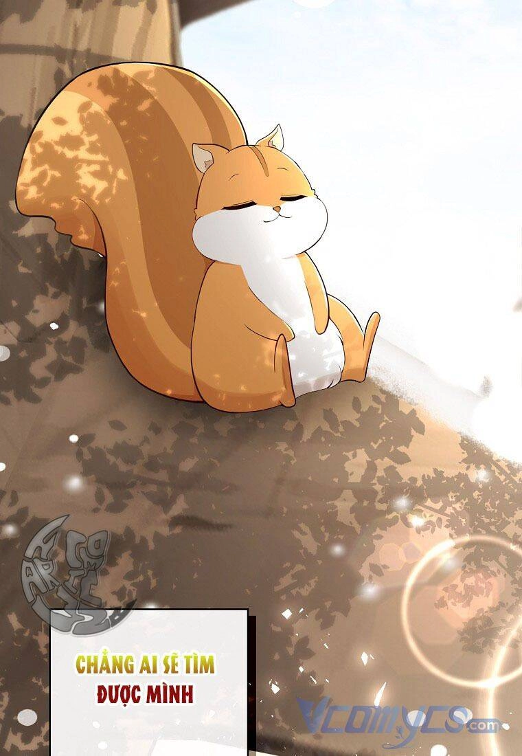 Sóc Con Tài Năng Chapter 22 - 73