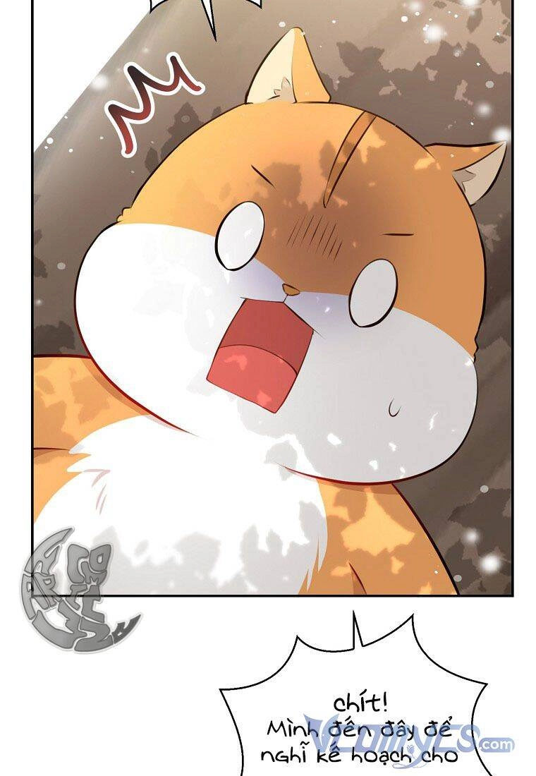 Sóc Con Tài Năng Chapter 22 - 77