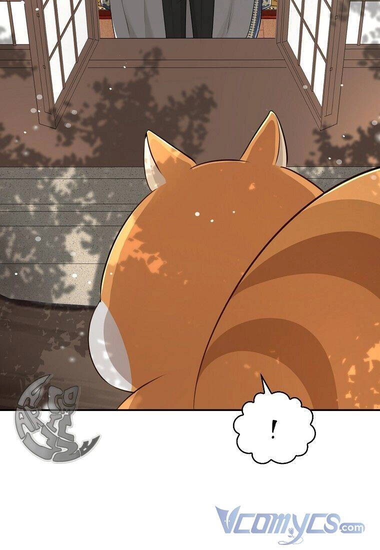 Sóc Con Tài Năng Chapter 22 - 80