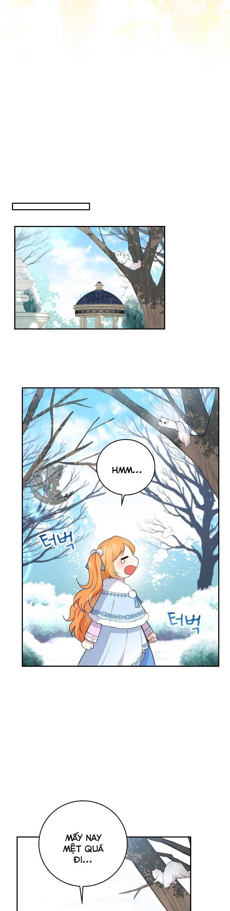 Sóc Con Tài Năng Chapter 27 - 31