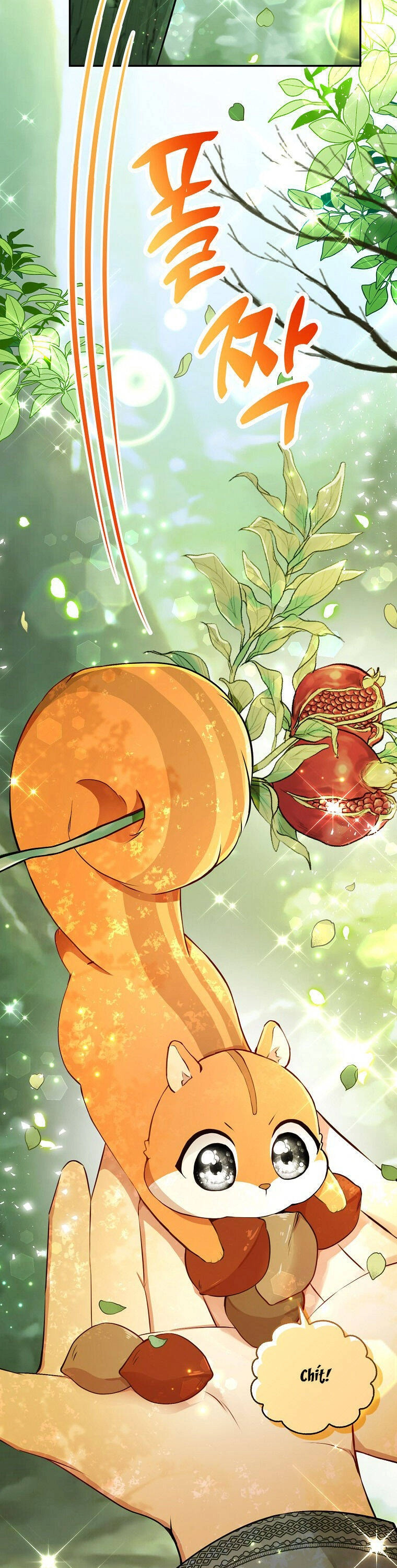 Sóc Con Tài Năng Chapter 29 - 19