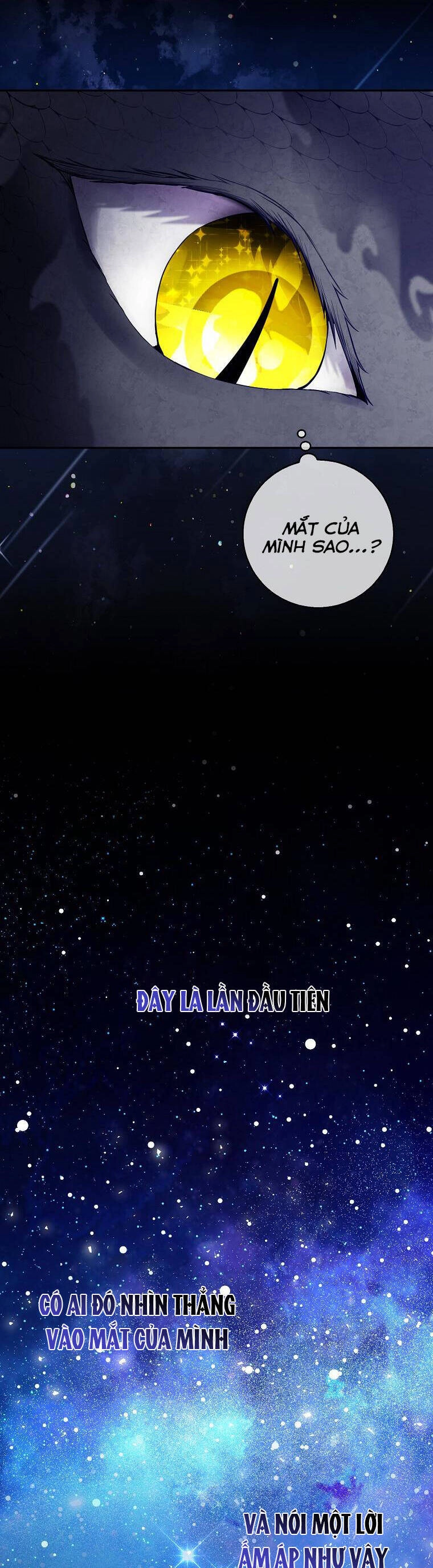 Sóc Con Tài Năng Chapter 31 - 27