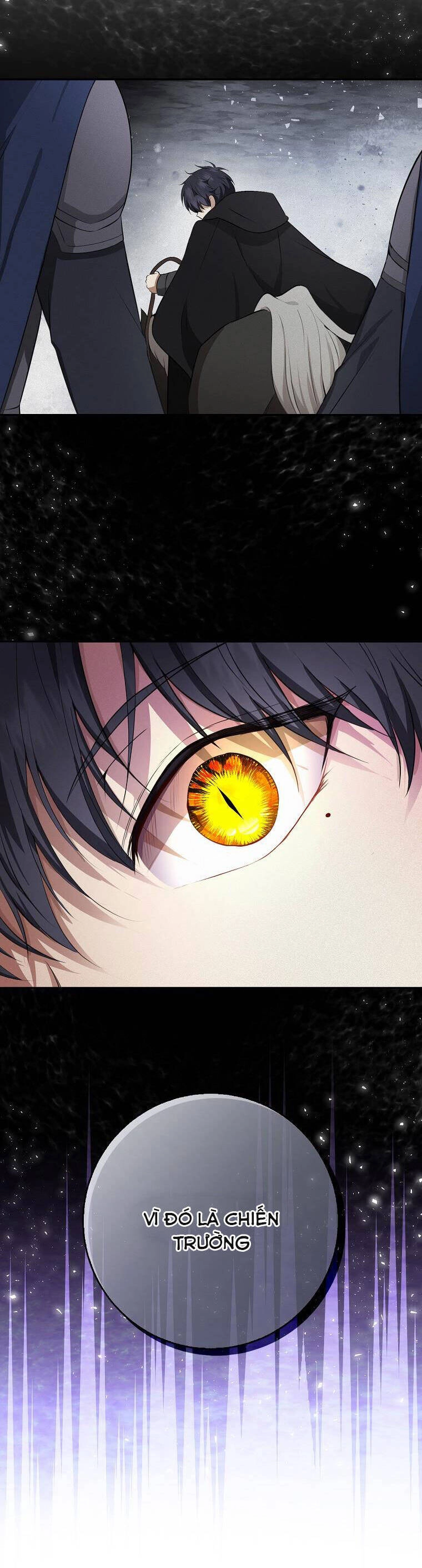 Sóc Con Tài Năng Chapter 33 - 28