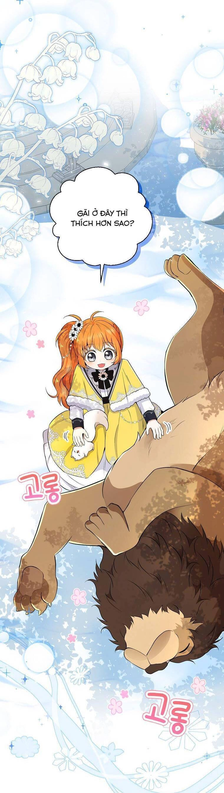 Sóc Con Tài Năng Chapter 41 - 15