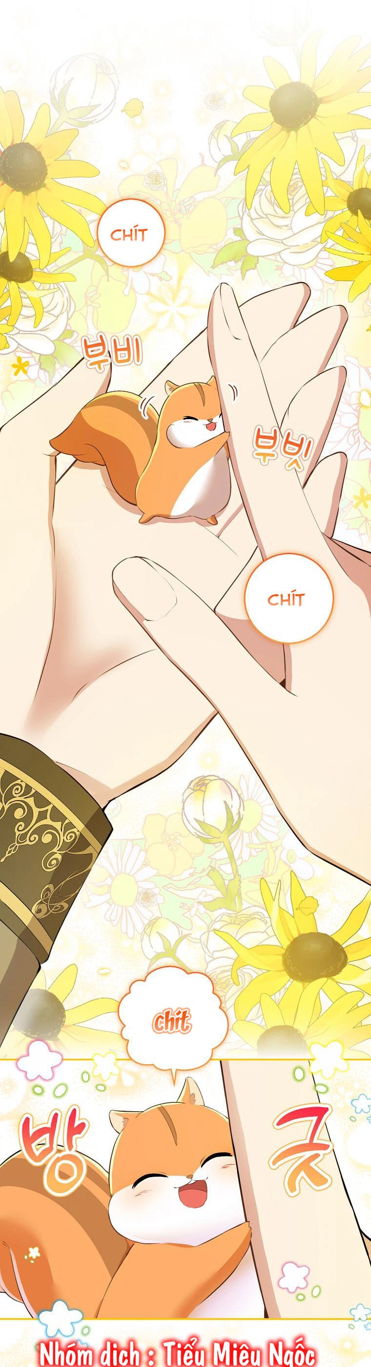 Sóc Con Tài Năng Chapter 43 - 30