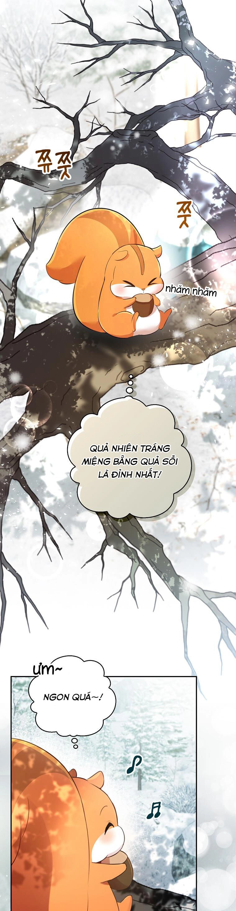 Sóc Con Tài Năng Chapter 48 - 24