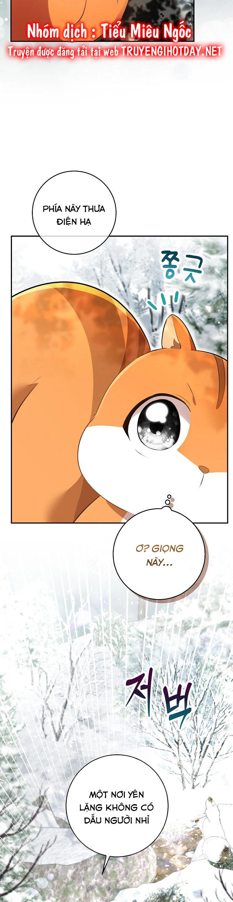 Sóc Con Tài Năng Chapter 48 - 25