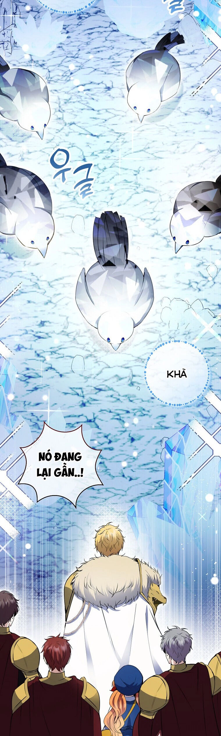 Sóc Con Tài Năng Chapter 50 - 11