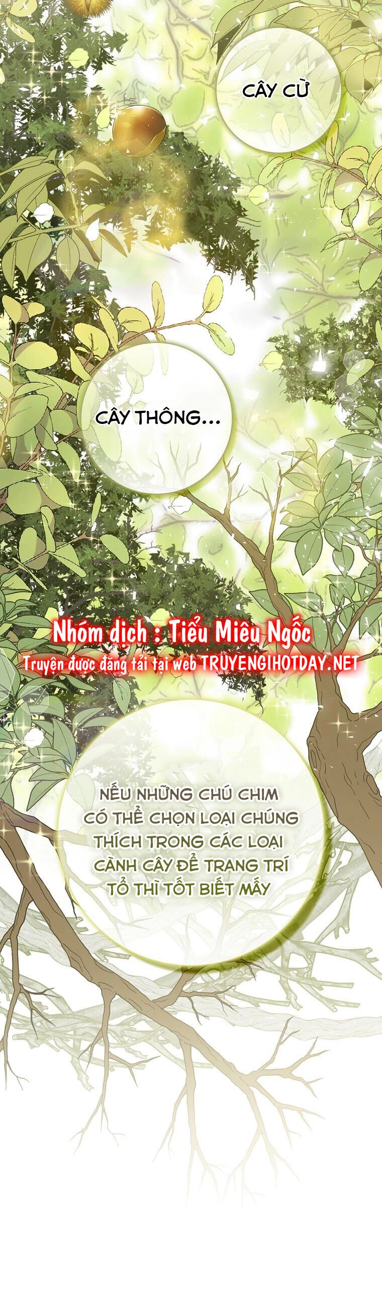 Sóc Con Tài Năng Chapter 51 - 17