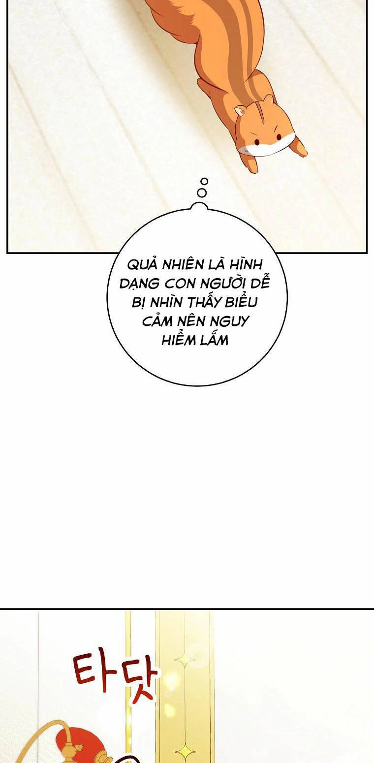 Sóc Con Tài Năng Chapter 52 - 28