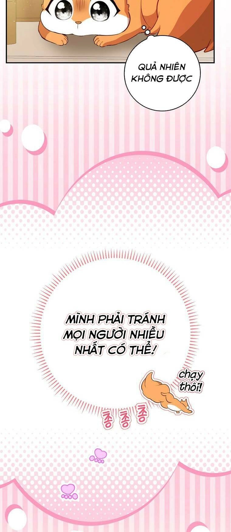 Sóc Con Tài Năng Chapter 52 - 38