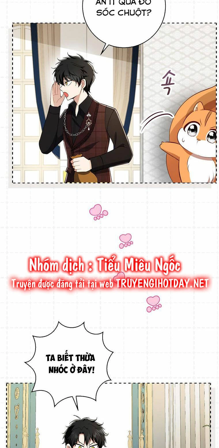 Sóc Con Tài Năng Chapter 52 - 40