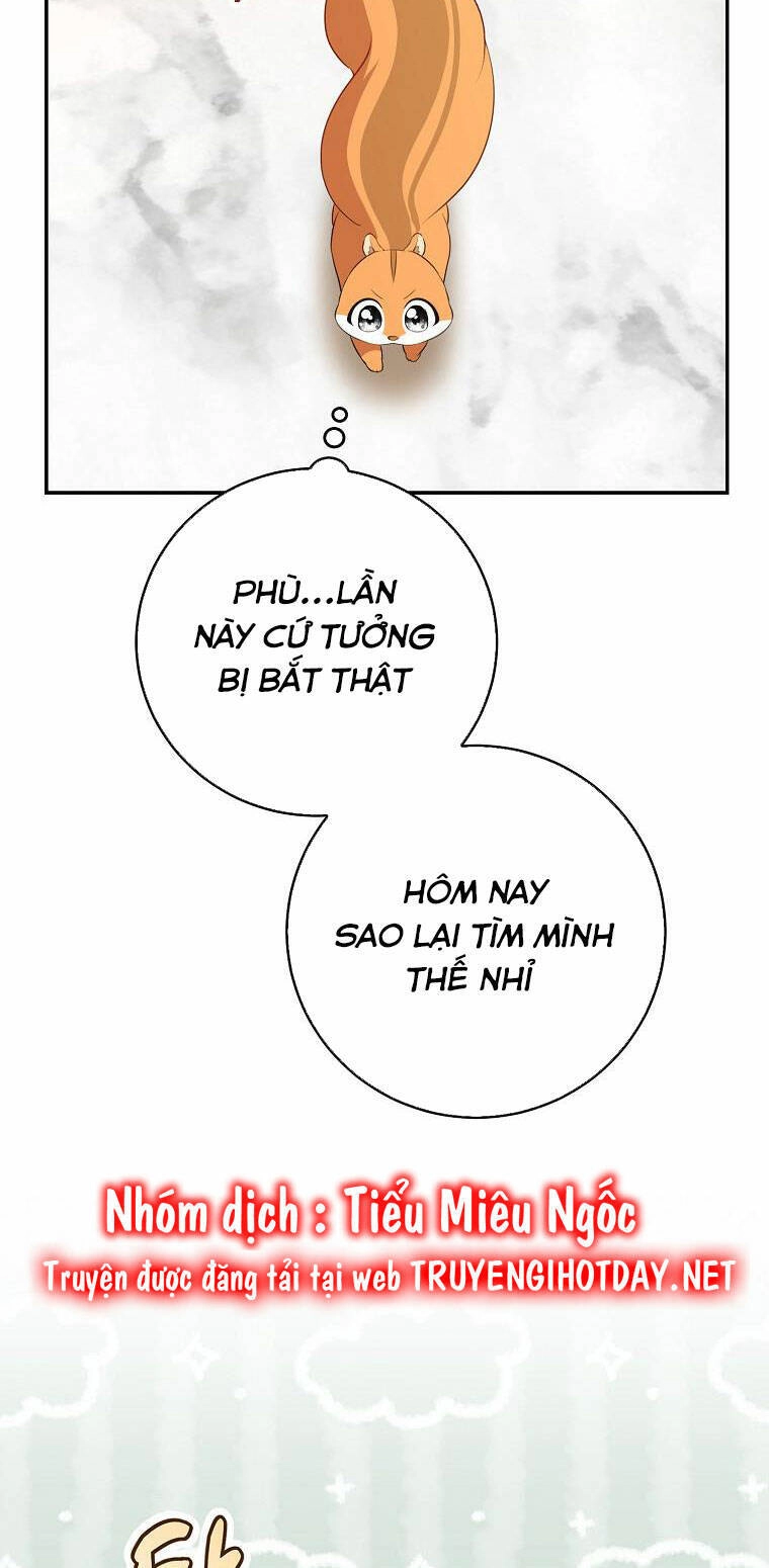 Sóc Con Tài Năng Chapter 52 - 43