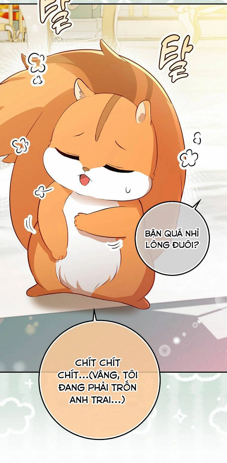 Sóc Con Tài Năng Chapter 52 - 44