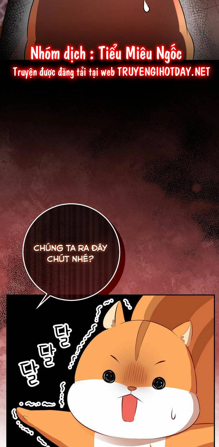 Sóc Con Tài Năng Chapter 52 - 47