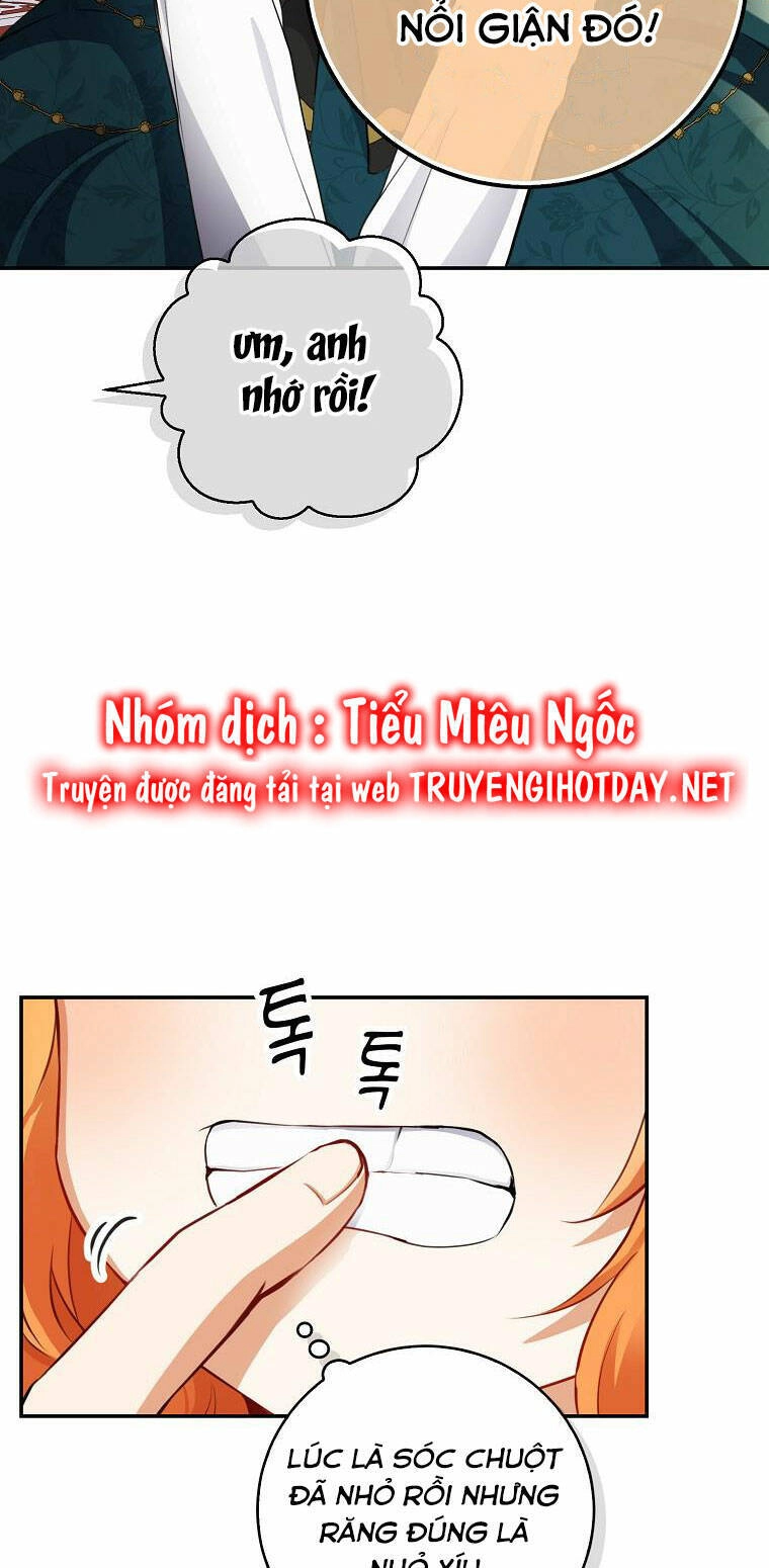 Sóc Con Tài Năng Chapter 52 - 71