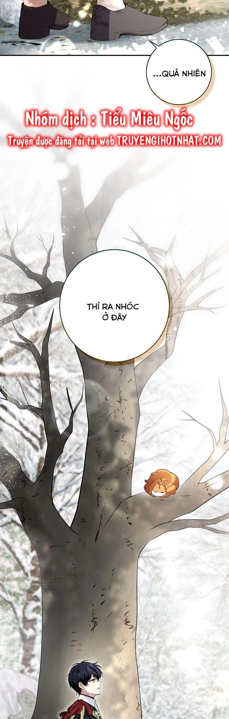 Sóc Con Tài Năng Chapter 53 - 32