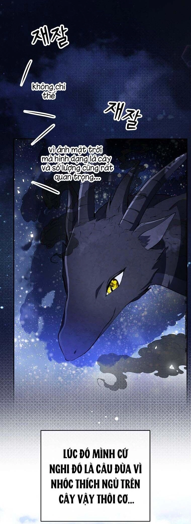 Sóc Con Tài Năng Chapter 53 - 36