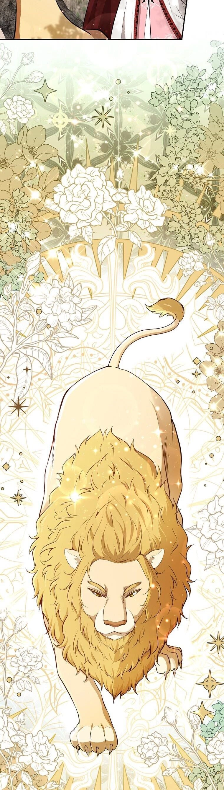 Sóc Con Tài Năng Chapter 61 - 16