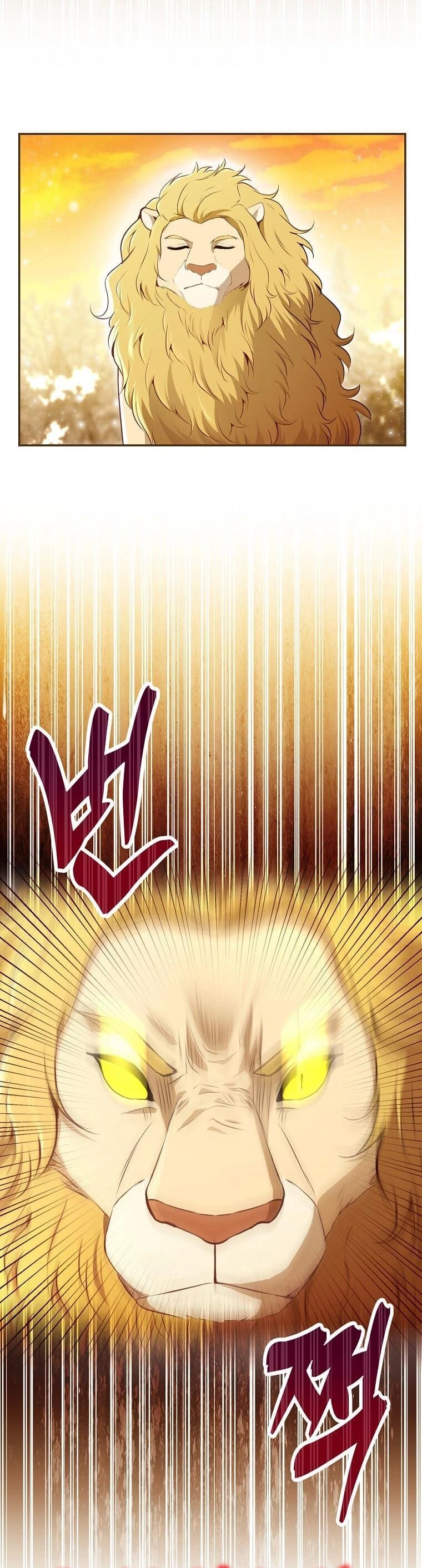 Sóc Con Tài Năng Chapter 61 - 20