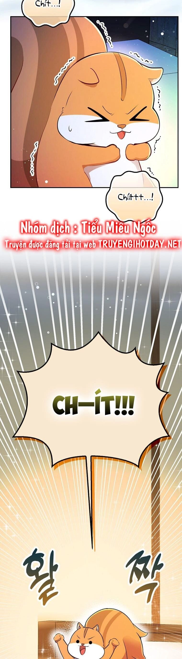 Sóc Con Tài Năng Chapter 61 - 33