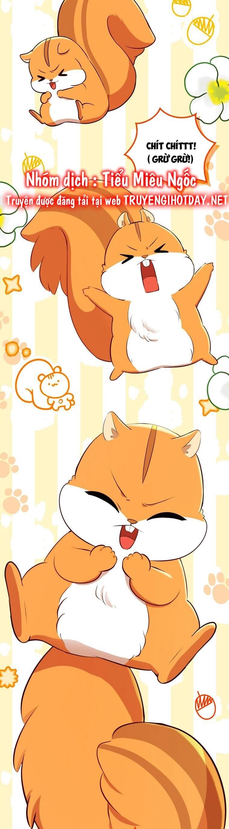 Sóc Con Tài Năng Chapter 61 - 47