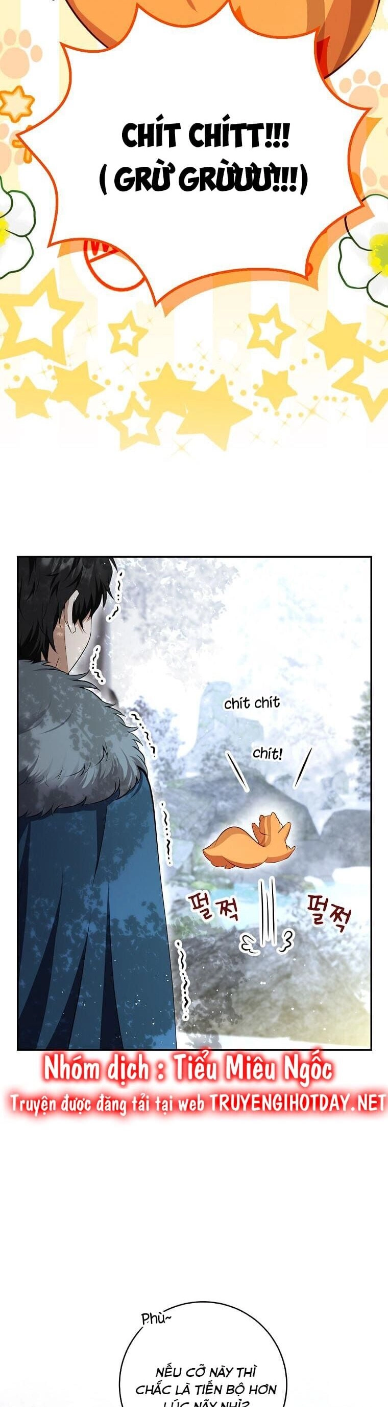 Sóc Con Tài Năng Chapter 61 - 48