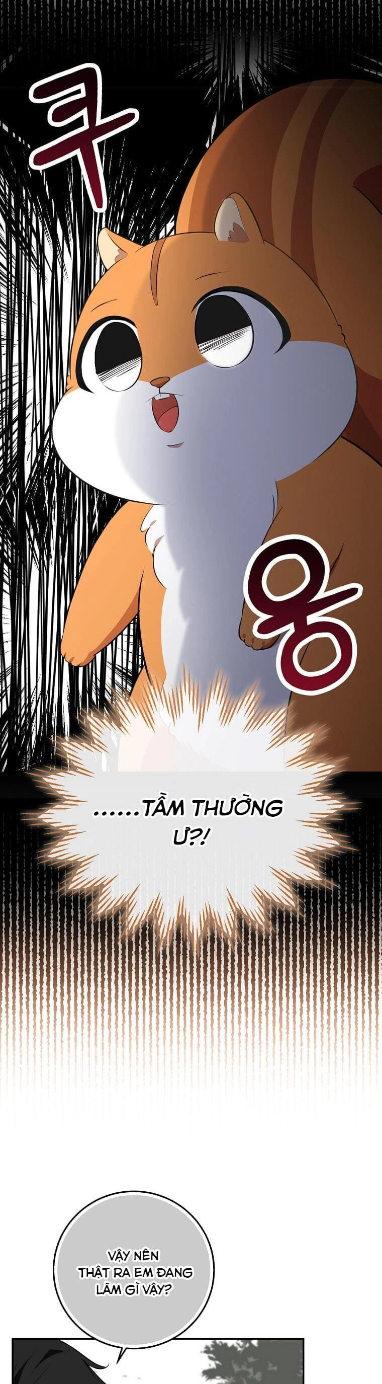 Sóc Con Tài Năng Chapter 61 - 52