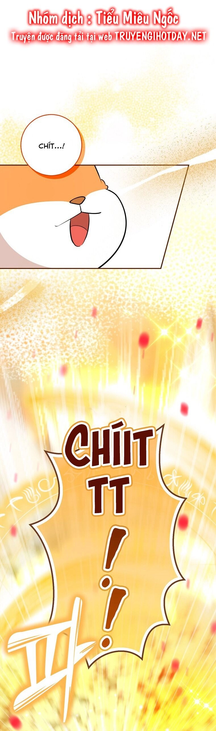 Sóc Con Tài Năng Chapter 62 - 24